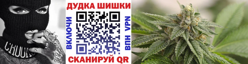 МАРИХУАНА сатива  наркотики  Оса 